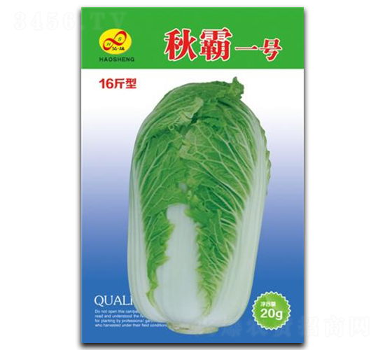 ���һ̖-�ײ˷N��-��ɷN�I(y��)