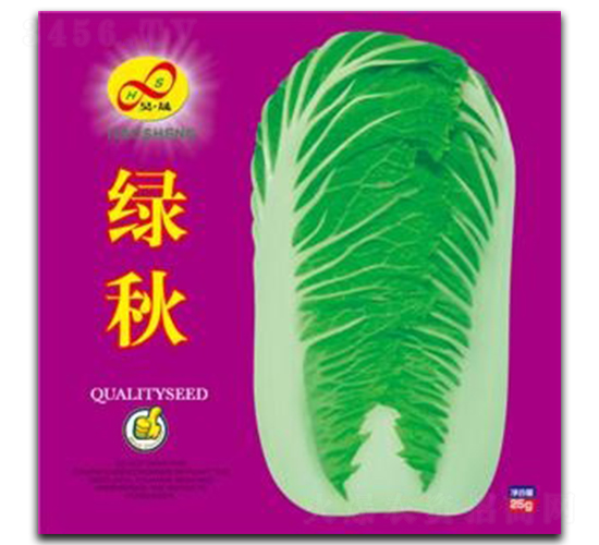 �G��-�ײ˷N��-��ɷN�I(y��)