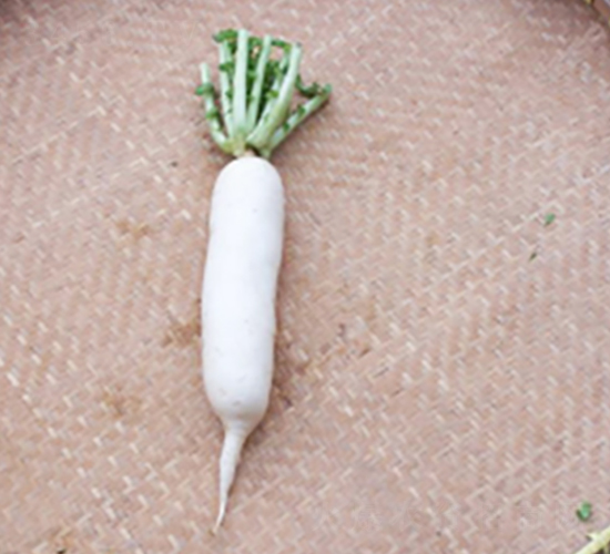 Ͳ���}��-�}���N��-����r(n��ng)�I(y��)