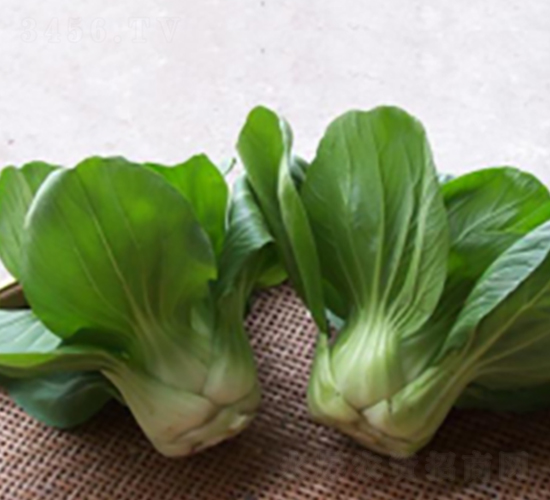 ������-�๣�˷N��-����r(n��ng)�I(y��)