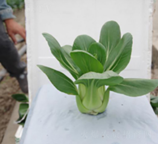 �Gɽ-�๣�˷N��-����r(n��ng)�I(y��)