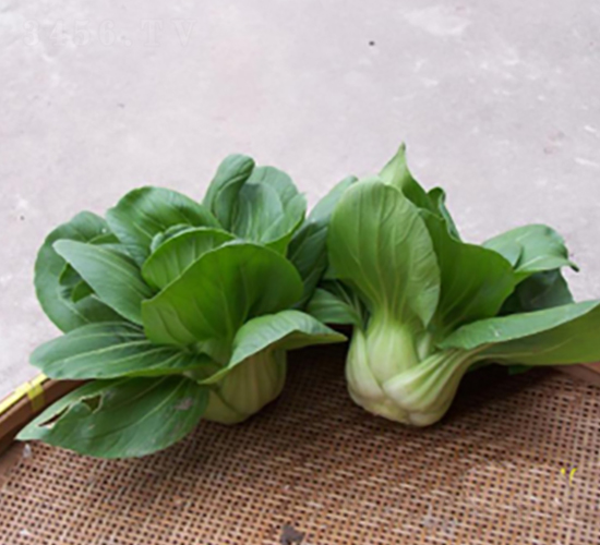 �ذ����-�๣�˷N��-����r(n��ng)�I(y��)