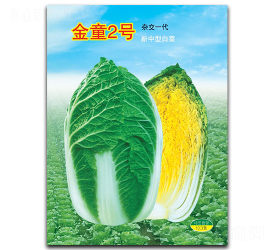 ��ͯ2̖-�ײ˷N��-�A�߷N�I(y��)