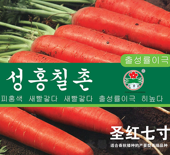 ʥ�t�ߴ�-���}���N��-�A�߷N�I(y��)