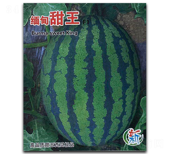 ��������-���ϷN��-�A�߷N�I(y��)