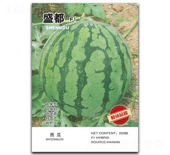 ʢ��-���ϷN��-�A�߷N�I(y��)