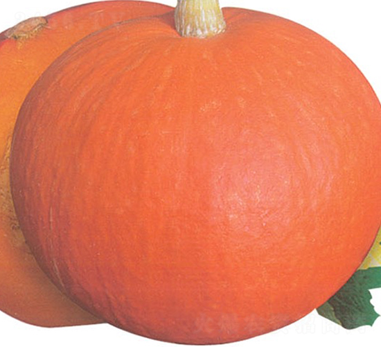 ����-�ϹϷN��-�A�߷N�I(y��)