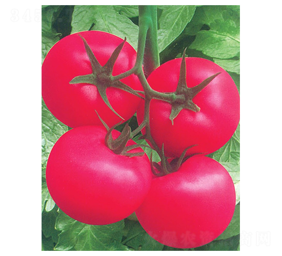 ����-���ѷN��-�A�߷N�I(y��)d