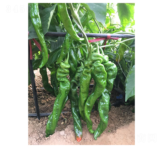 ����-�ݽz���N��-�A�߷N�I(y��)