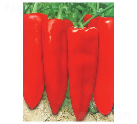 �Ų�-�ݽ��N��-�A�߷N�I(y��)