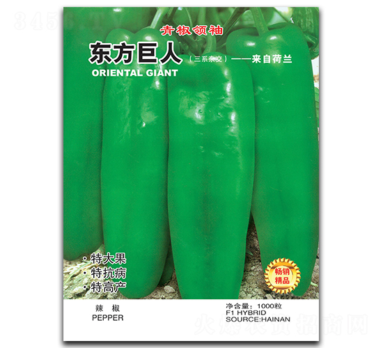 �|������-�ݽ��N��-�A�߷N�I(y��)