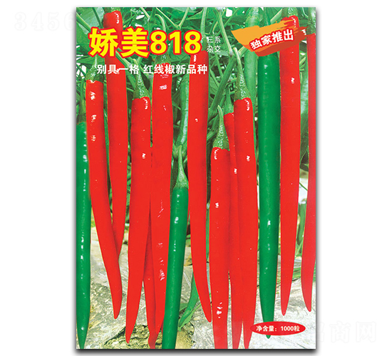 ����818-�����N��-�A�߷N�I(y��)