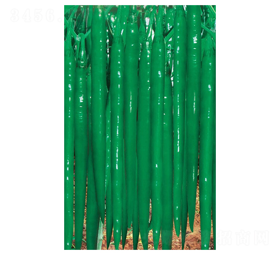 �G����-�����N��-�A�߷N�I(y��)