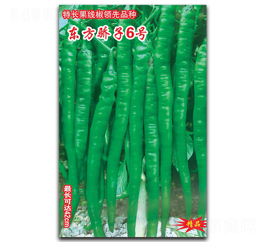 �|�����6̖(h��o)-�����N��-�A�߷N�I(y��)