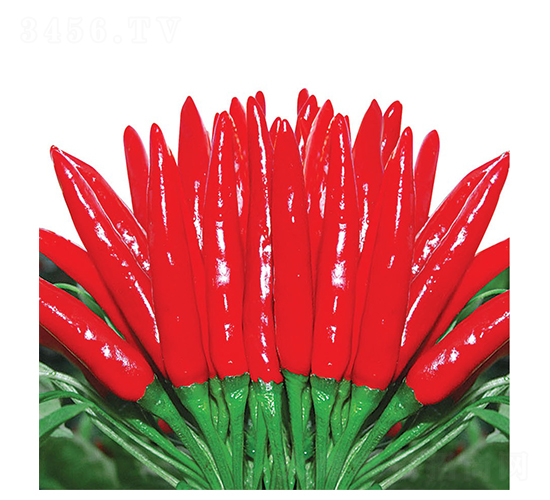 �ؼ�(j��)����-���콷�N��-�A�߷N�I(y��)