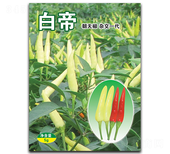 �׵�-���콷�N��-�A�߷N�I(y��)