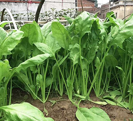 �A��-���˷N��-혳�