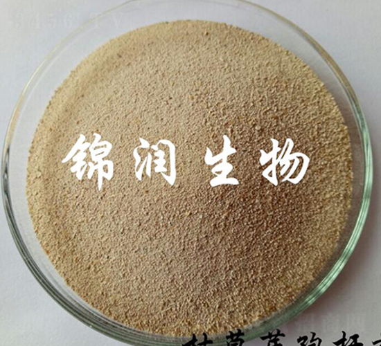 �ݲ�ѿ�ߗU��-�\������