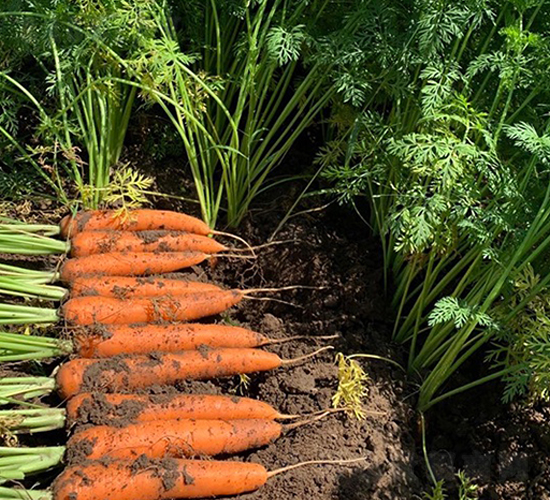 �t��-���}���N��-혳�