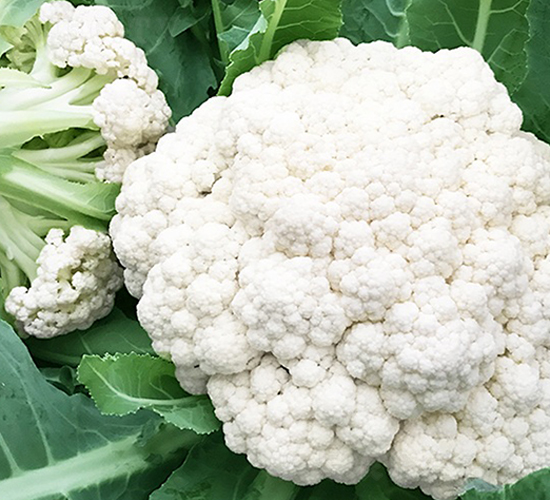 �_������55����ɻ�-��Ҭ�˷N��-혳�