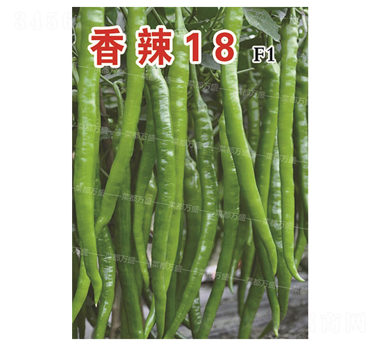 ����18-�����N��-�˶��fʢ