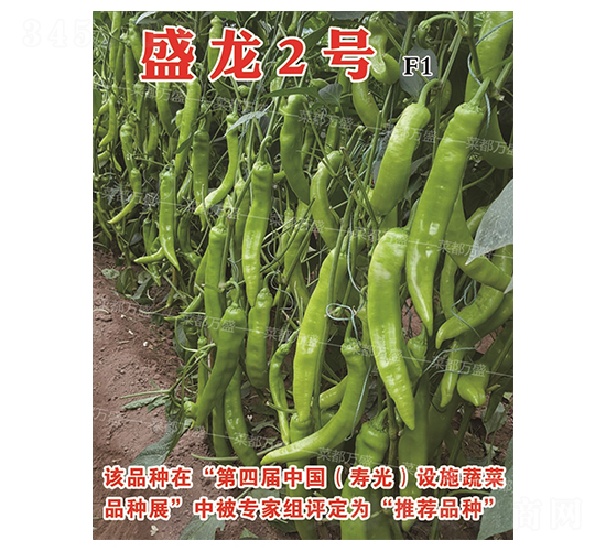 ʢ��2̖-�����N��-�˶��fʢ