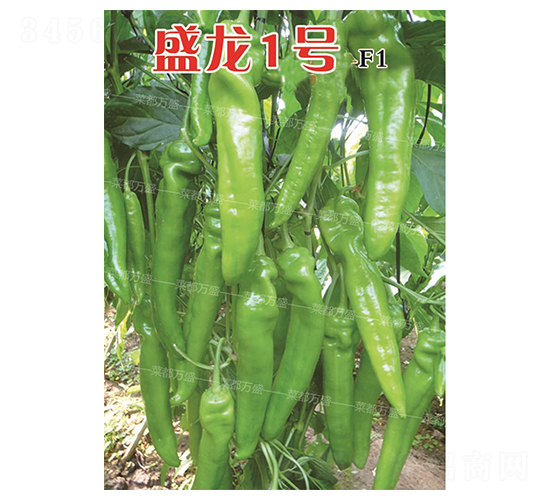 ʢ��1̖(h��o)-�����N��-�˶��fʢ