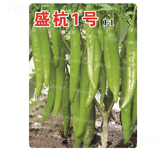 ʢ��1̖(h��o)-�����N��-�˶��fʢ