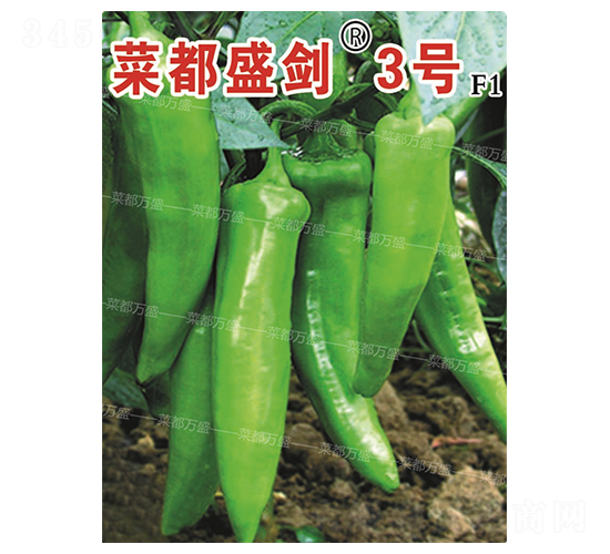 �˶�ʢ��3̖-�����N��-�˶��fʢ