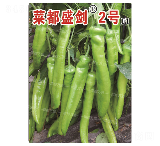 �˶�ʢ��2̖-�����N��-�˶��fʢ