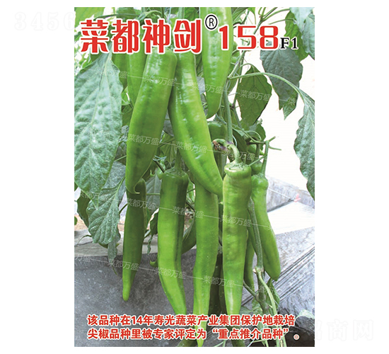 �˶���158-�����N��-�˶��fʢ