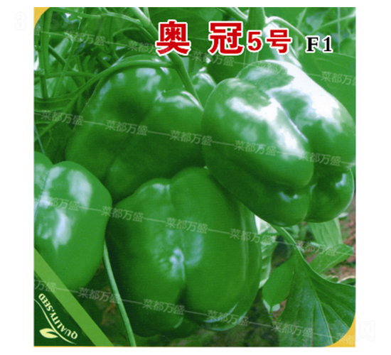 �W��5̖(h��o)-�����N��-�˶��f(w��n)ʢ