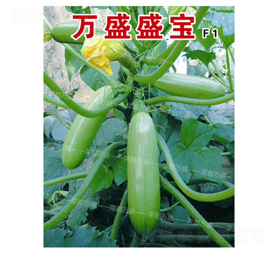 �f(w��n)ʢʢ��-�����J�N��-�˶��f(w��n)ʢ