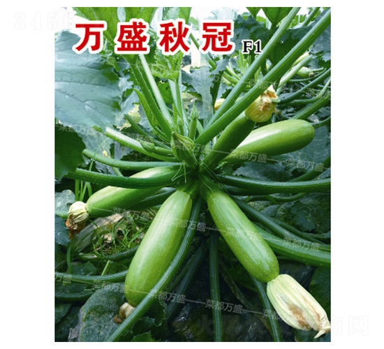 �f(w��n)ʢ���-�����J�N��-�˶��f(w��n)ʢ