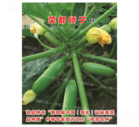 �˶�����-�����J�N��-�˶��fʢ