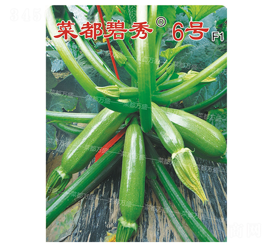 �˶�����6̖(h��o)-�����J�N��-�˶��f(w��n)ʢ