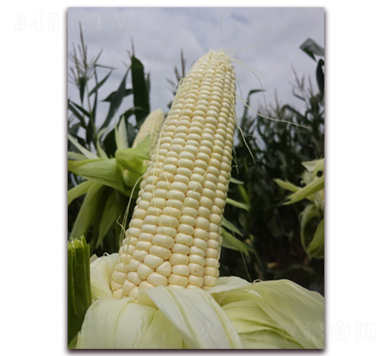 ��Ŵ1607-Ŵ���׷N��-���A�N�I(y��)