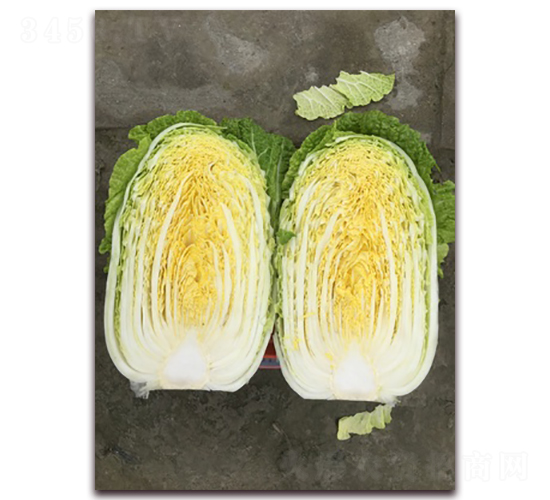 Խ������-��ײ˷N��-���A�N�I(y��)