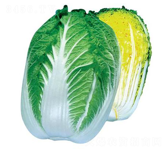 ��ɽ����-��ײ˷N��-���A�N�I(y��)