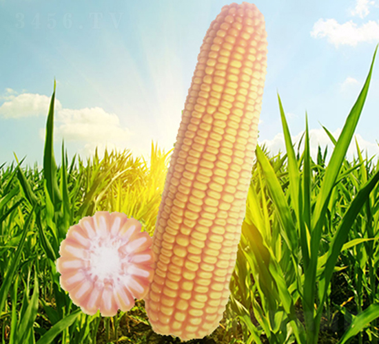 �x��71-���׷N��-��Դ�N�I(y��)