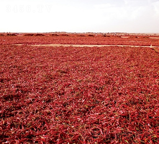 ���t2̖-�����N��-��Ļ��