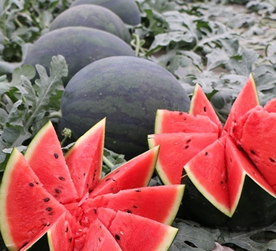 Ļ��Ҍ�-���ϷN��-��Ļ��