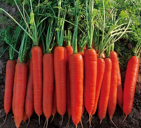 �G�t99-���}���N��-��Ļ��