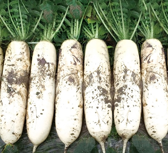 ����-�}���N��-��Ļ��