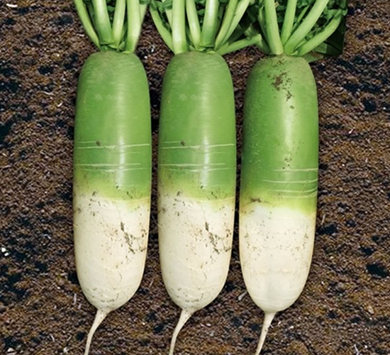 Ļ���F��-�}���N��-��Ļ��