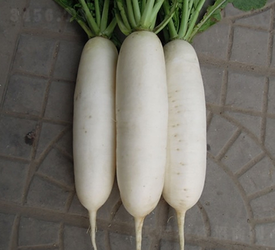 �׸���2̖(h��o)-�}���N��-��Ļ��