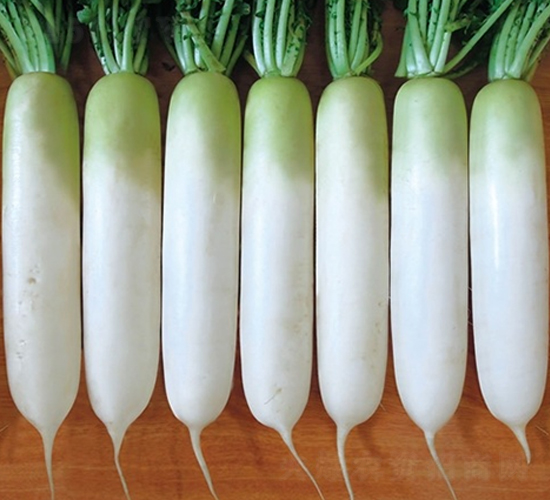 ����-�}���N��-��Ļ��