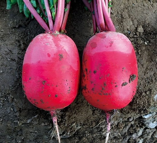 Ļ���F�t-�}���N��-��Ļ��