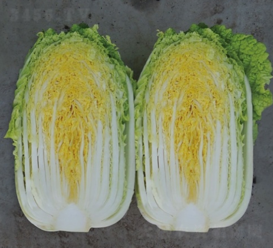 �����S-�ײ˷N��-��Ļ��