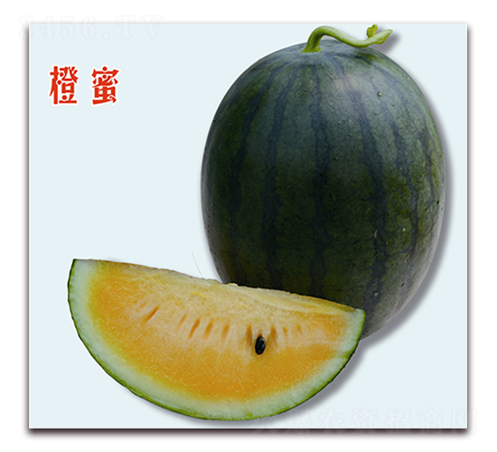 ����-��ϷN��-��֮��